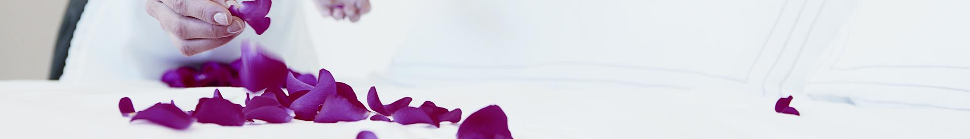  Cerchi un hotel per il tuo soggiorno a Trieste (TS)? Prenota al Best Western Hotel San Giusto